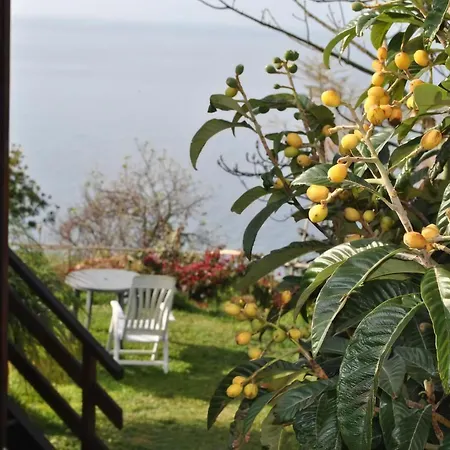 In Canhas Mit Schoenem Garten Holiday home